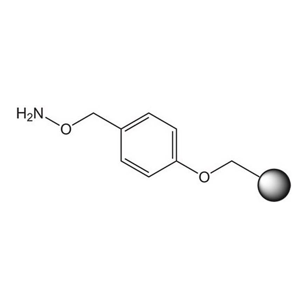 Merck HYDROXYLAMINE WANG RESIN 5 G