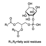 Merck L-A-PHOSPHATIDYLINOSITOL