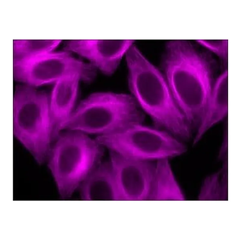 Merck ANTI-CHICKEN IGY (H+L), HIGHLY CROSS-ADS