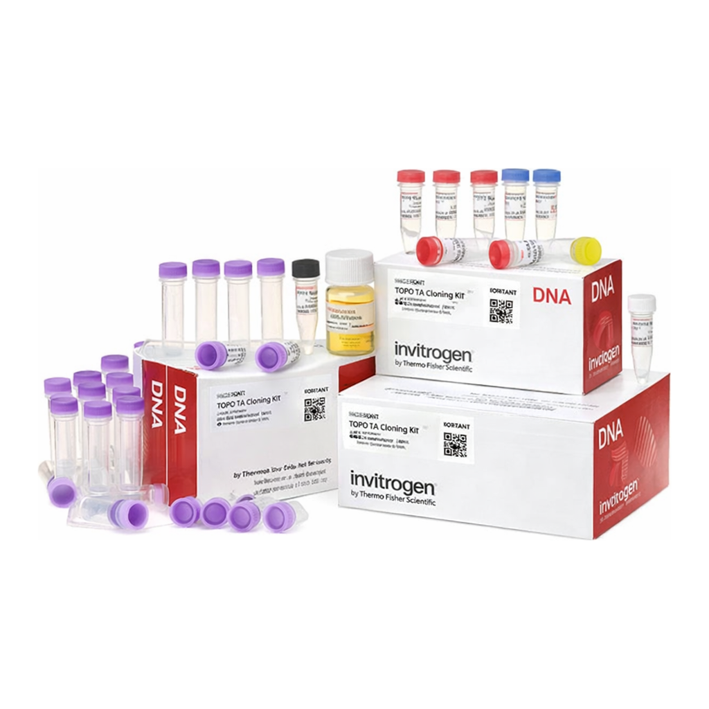Thermo Fisher Scientific TOPO TA Cloning Kit for Subcloning, with TOP10 E. coli (Supply Center Packaging)