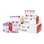 Thermo Fisher Scientific TOPO TA Cloning Kit for Subcloning, with TOP10 E. coli (Supply Center Packaging)