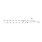 Merck 14:0 Diether PC