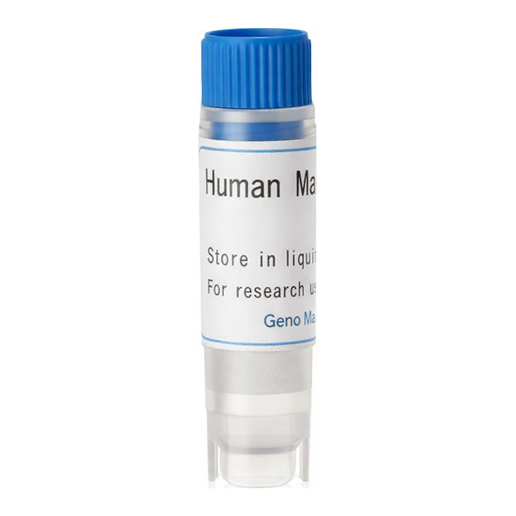 Thermo Fisher Scientific Human OATP2B1 (G) SLC Transporter Cells