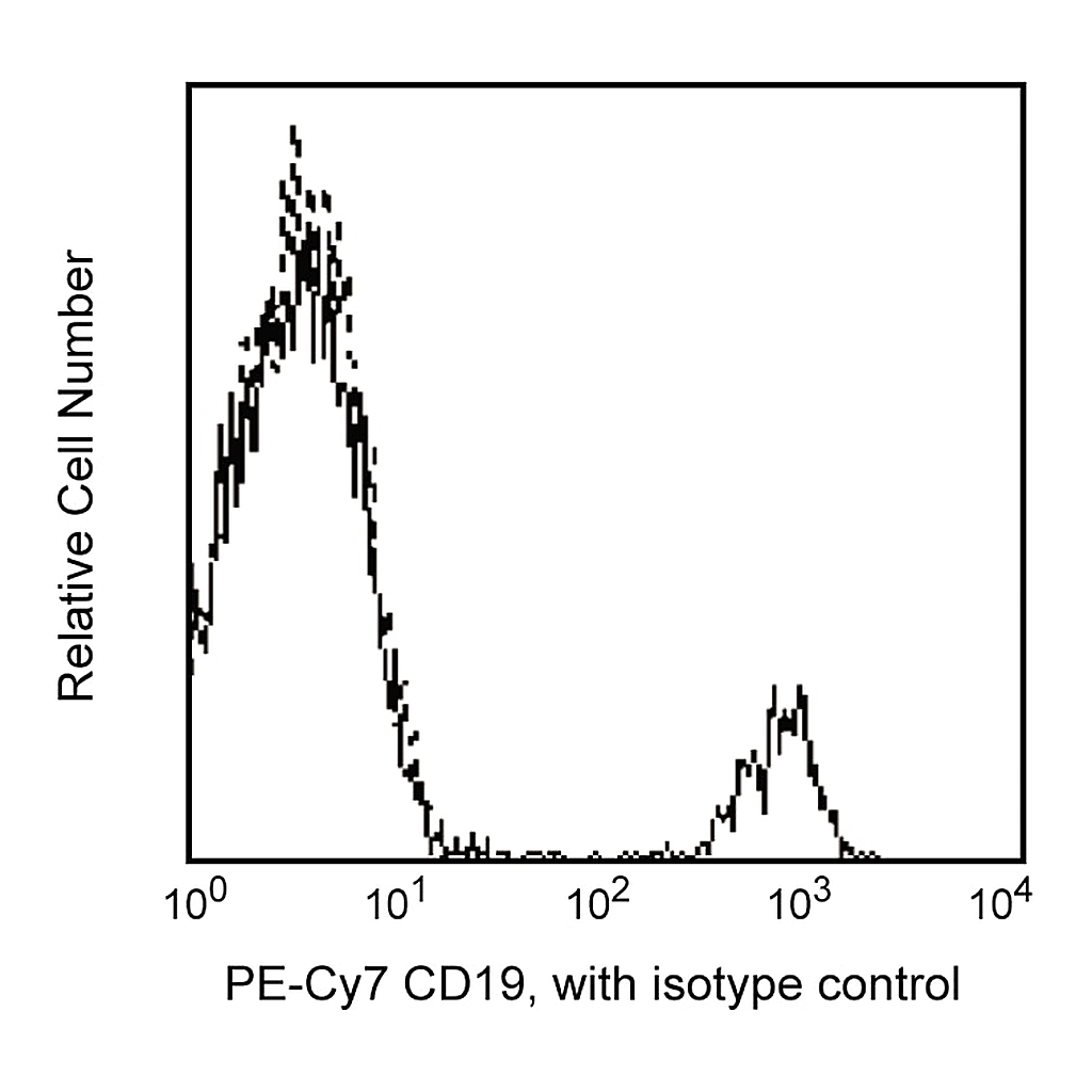 BD PE-Cy7 Mouse Anti-Human CD19