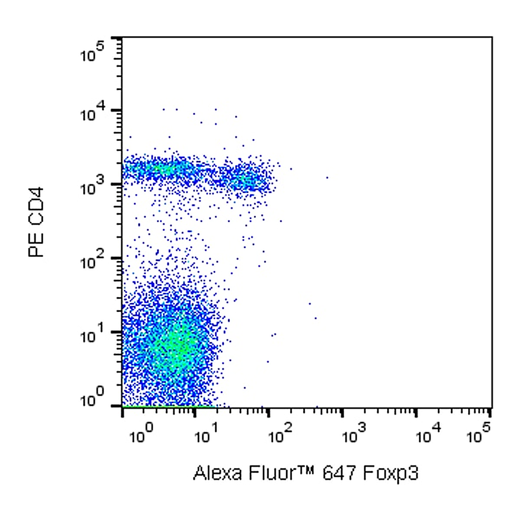 BD Alexa Fluor® 647 Rat Anti-Mouse Foxp3