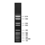 Merck DNA Molecular Weight Marker VI