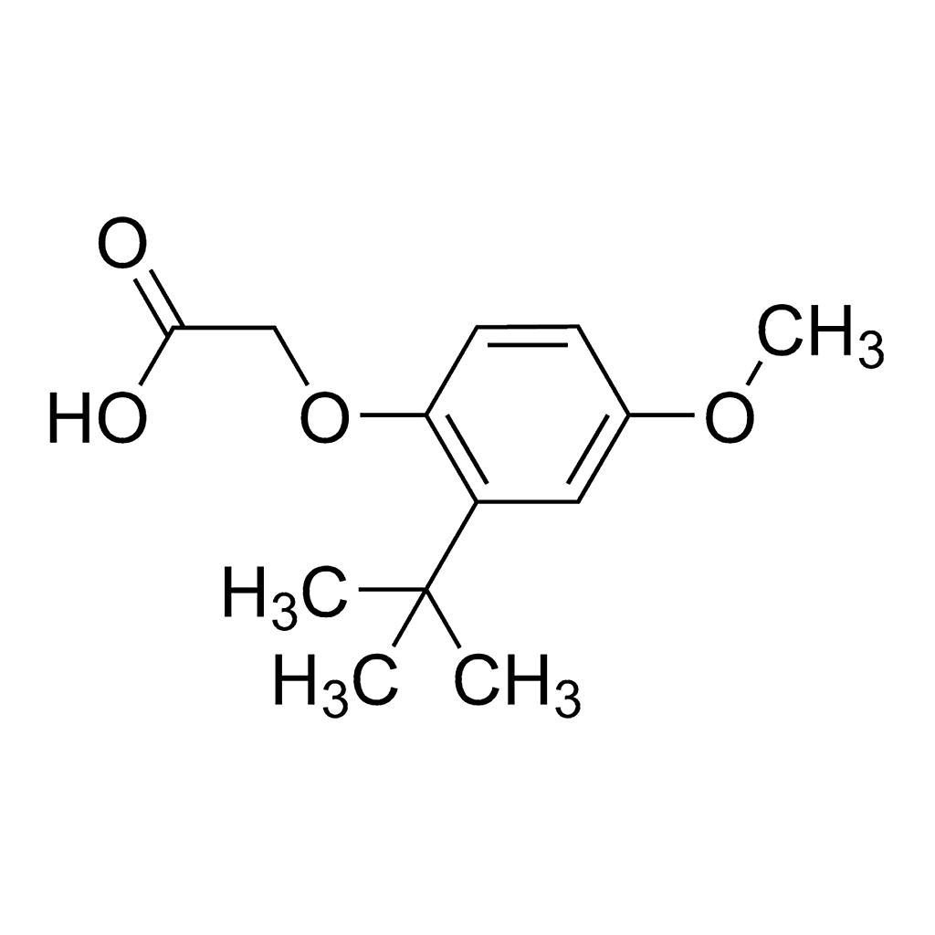 Merck (2-tert-Butyl-4-methoxyphenoxy)acetic acid