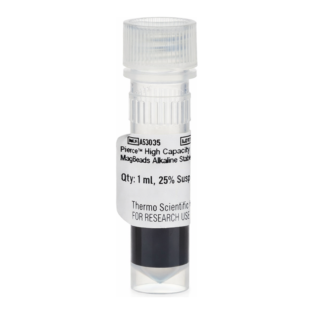 Thermo Fisher Scientific Pierce High Capacity Protein A MagBeads, alkali stable