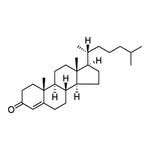 Merck CHOLESTENONE