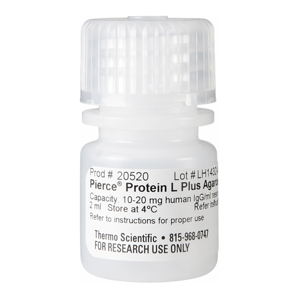 Thermo Fisher Scientific Pierce Protein L Plus Agarose