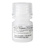 Thermo Fisher Scientific Pierce Protein L Plus Agarose