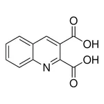 Merck 2,3-quinoline dicarboxylic acid