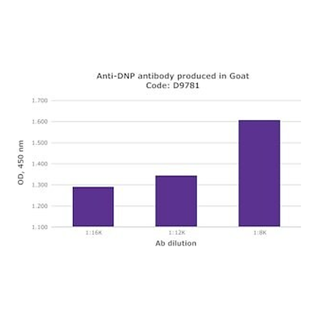 Merck ANTI-DINITROPHENYL (DNP) DEVELOPED IN