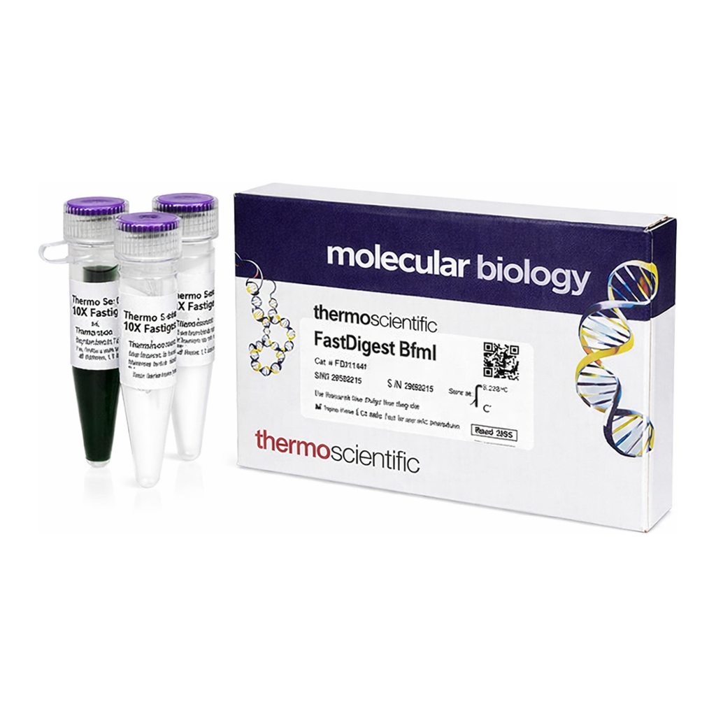 Thermo Fisher Scientific FastDigest BfmI