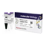 Thermo Fisher Scientific FastDigest BfmI