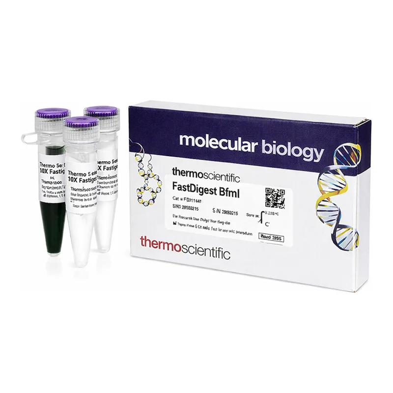 Thermo Fisher Scientific FastDigest BfmI