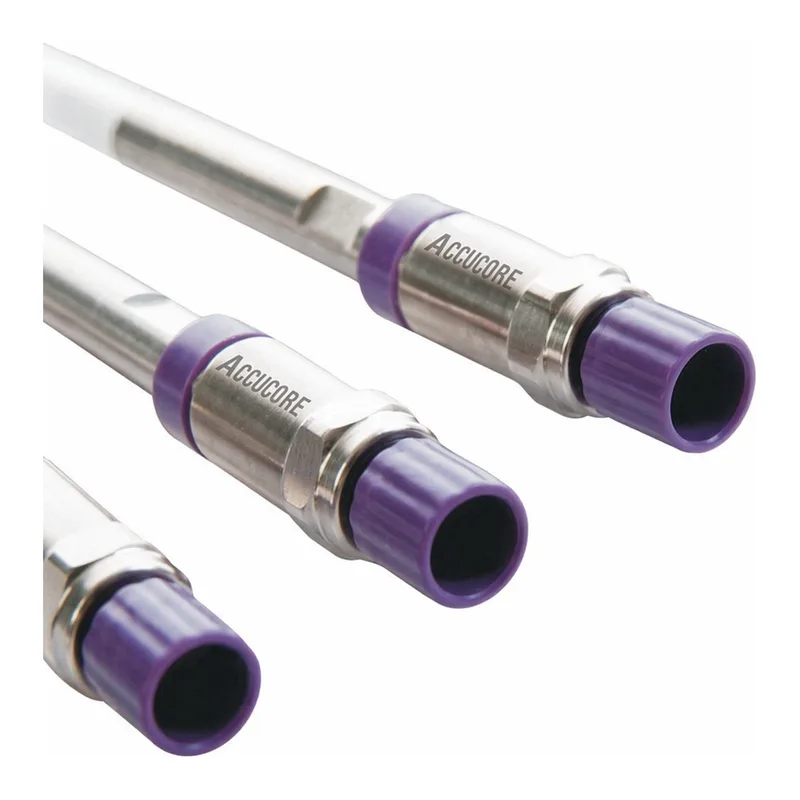 Thermo Fisher Scientific Accucore C8 LC Column