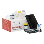 Thermo Fisher Scientific ProcartaPlex Human Th1/Th2/Th9/Th17 Cytokine Panel, 18plex
