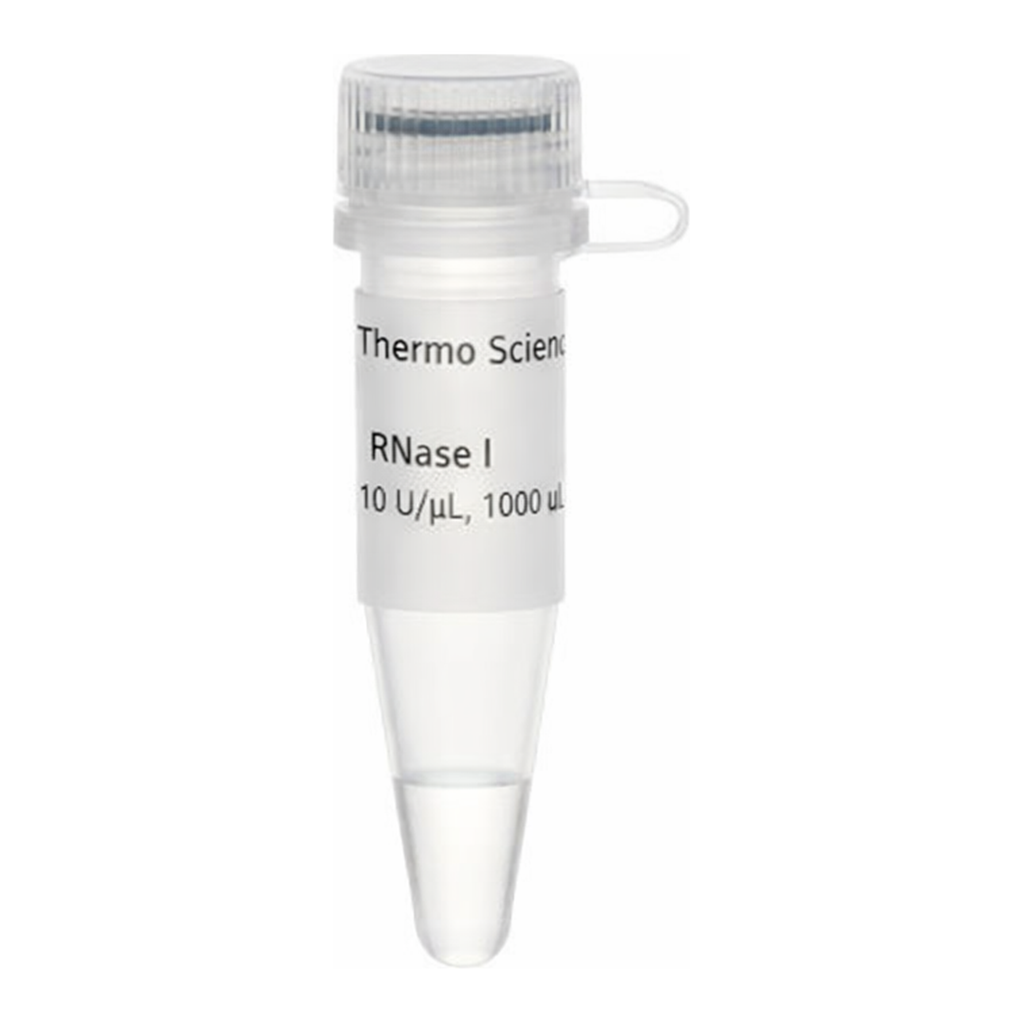Thermo Fisher Scientific RNase I (10 U/μL), 1,000 units