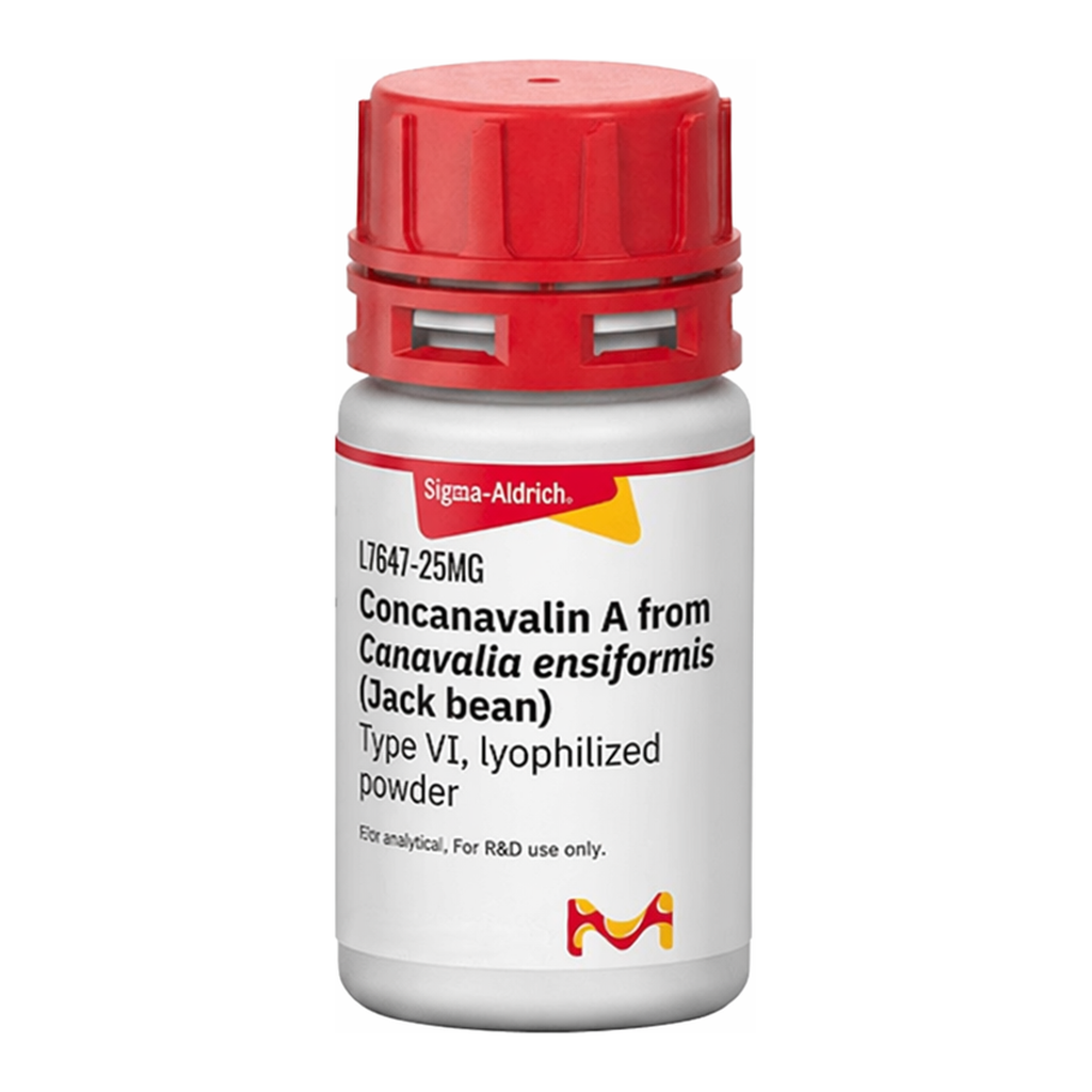 Merck Concanavalin A from Canavalia ensiformis (Jack bean)