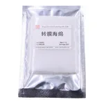 Servicebio Transfer Sponge