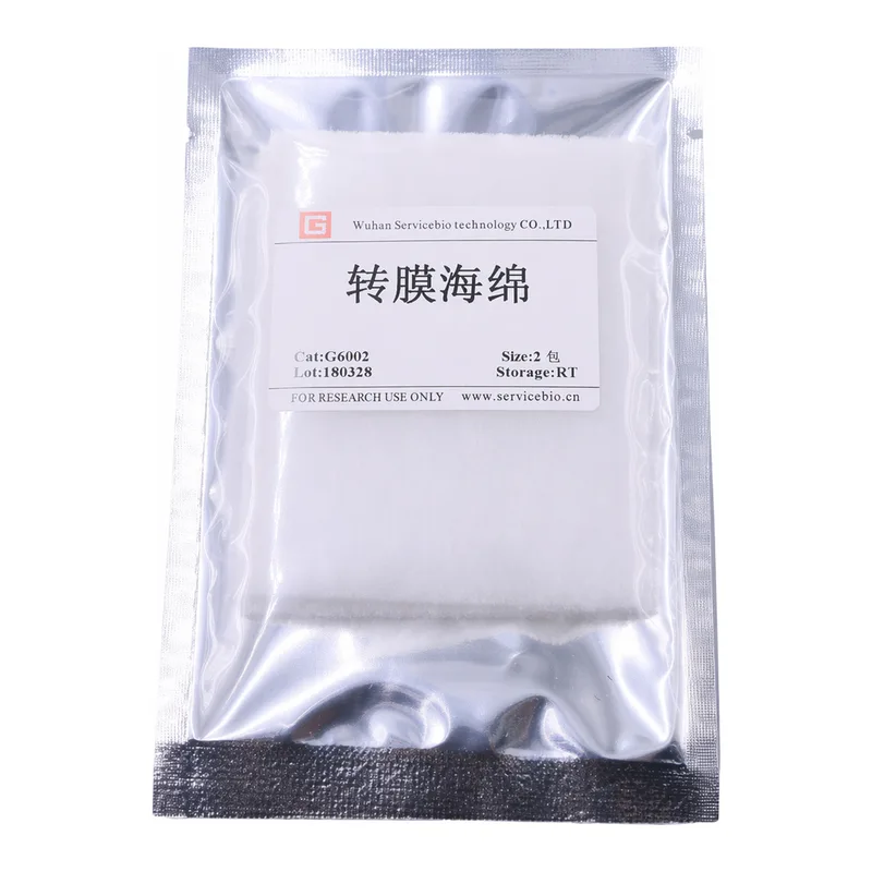 Servicebio Transfer Sponge