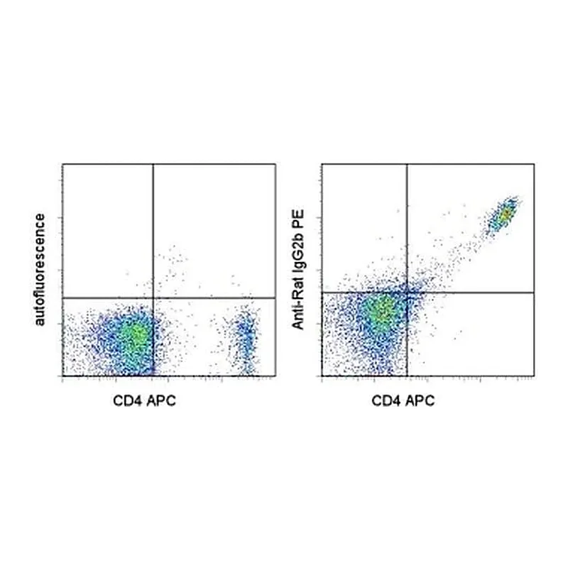 Thermo Fisher Scientific Mouse anti-Rat IgG2b Secondary Antibody, PE, eBioscience