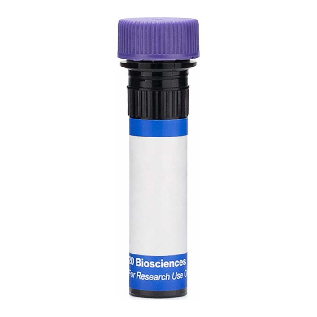BD RB744 Mouse Anti-Human CD105 (Endoglin)