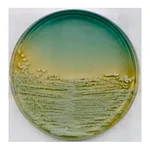Merck WL Nutrient AgarNutriSelect Plus
