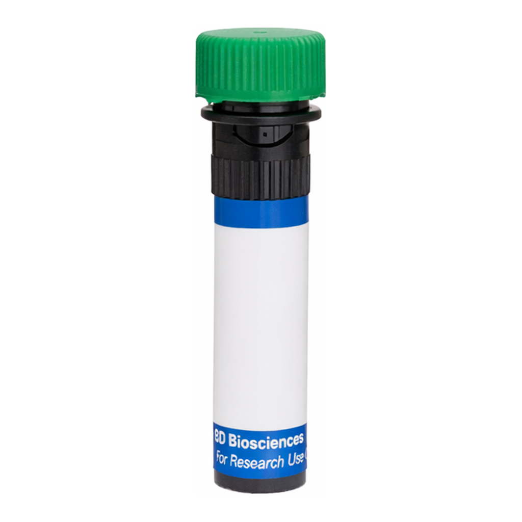 BD RB545 Rat Anti-Mouse Delta-Like Protein 4