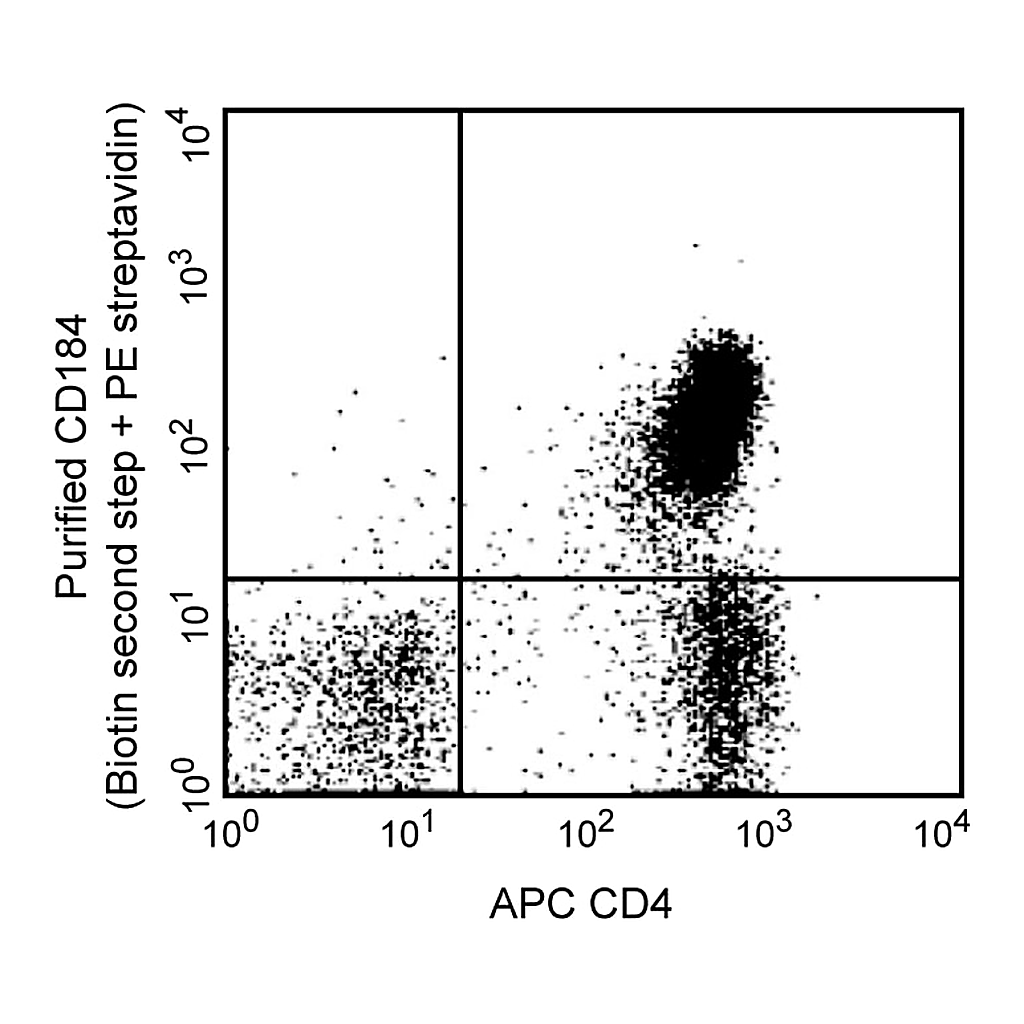 BD Purified Rat Anti-Mouse CD184
