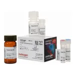 Thermo Fisher Scientific CyQUANT LDH Cytotoxicity Assay, 200 Assays