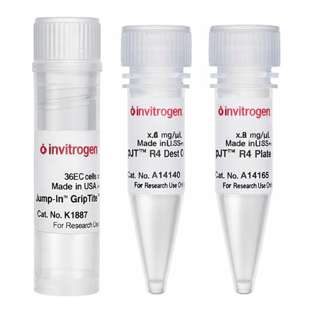 Thermo Fisher Scientific Jump-In GripTite HEK 293 Kit