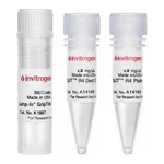 Thermo Fisher Scientific Jump-In GripTite HEK 293 Kit