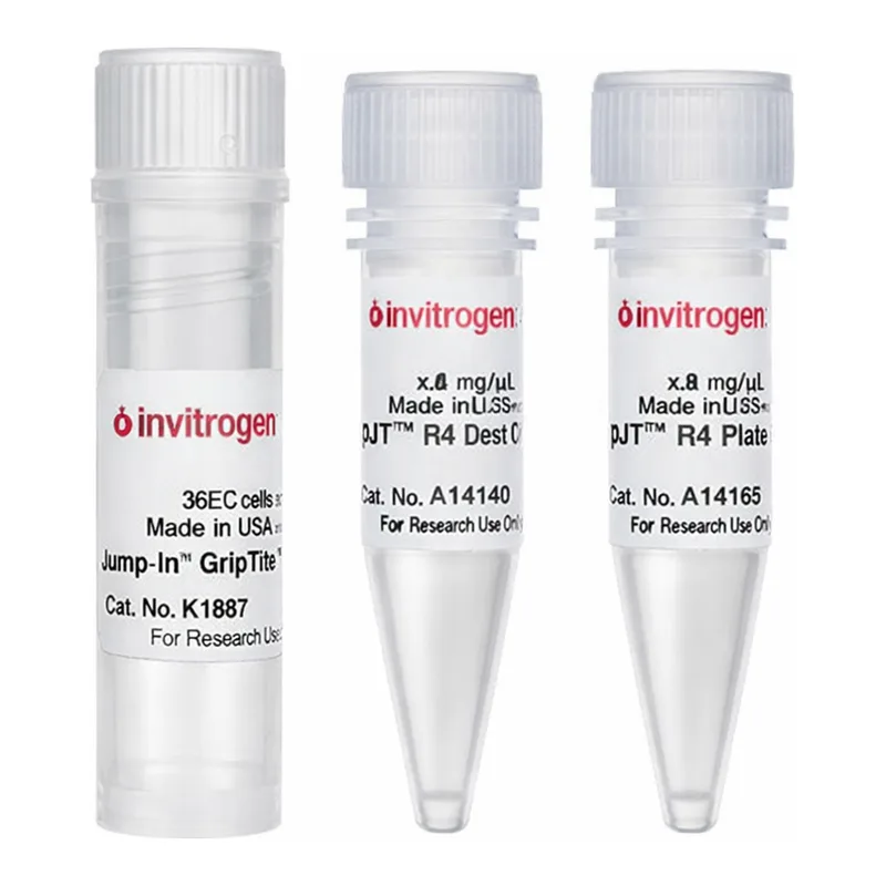 Thermo Fisher Scientific Jump-In GripTite HEK 293 Kit