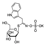 Merck GLUCOBRASSICIN POTASSIUM SALT