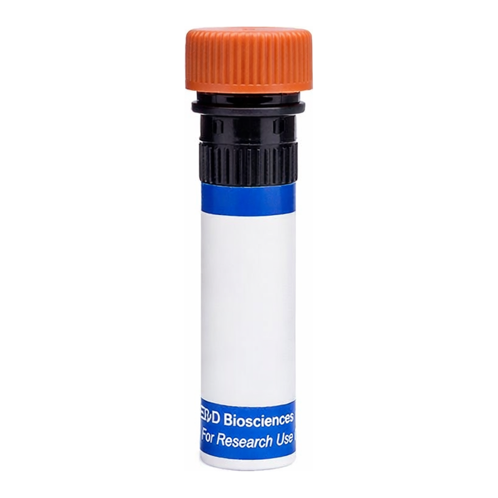 BD RB613 Rat Anti-Mouse Folate Receptor β (FRβ)