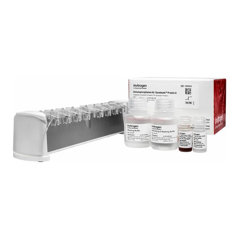 Thermo Fisher Scientific Dynabeads Protein A IP Kit and Magnet Starter Pack