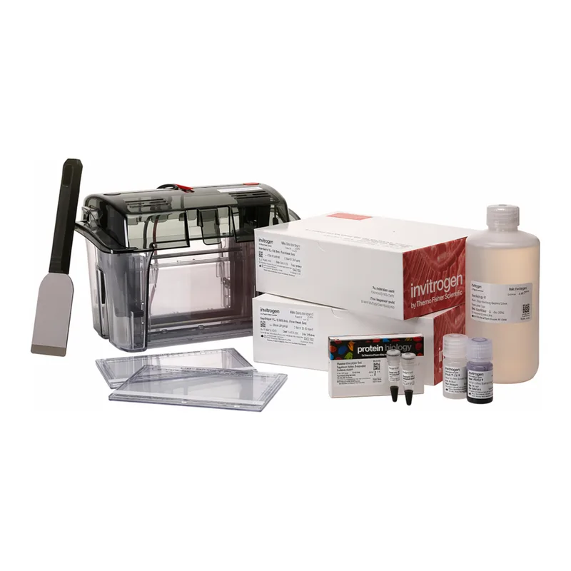 Thermo Fisher Scientific NuPAGE WedgeWell Midi Tris-Acetate Welcome Pack, 3 to 8%, 20-well, 1 Welcome Pk.