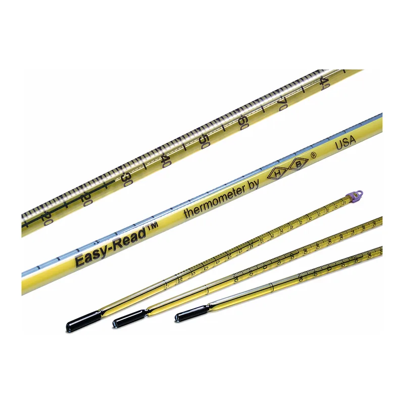 Merck Easy-Read(R) thermometer