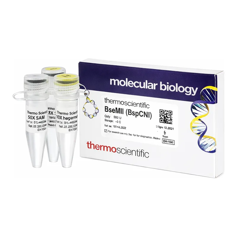 Thermo Fisher Scientific BseMII (BspCNI) (1 U/μL)