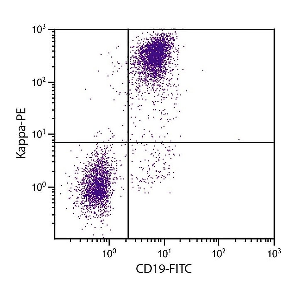 Thermo Fisher Scientific Rat anti-Mouse Kappa Light Chain Secondary Antibody, PE