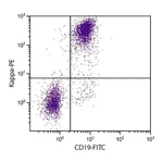 Thermo Fisher Scientific Rat anti-Mouse Kappa Light Chain Secondary Antibody, PE
