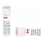 Merck MISSION(R) esiRNA