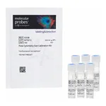 Thermo Fisher Scientific Flow Cytometry Size Calibration Kit (nonfluorescent microspheres)