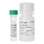 Thermo Fisher Scientific QuantiGene Sample Processing Kit, cultured cells, 2 Plates