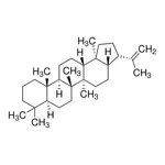 Merck Hop-22(29)-ene solution