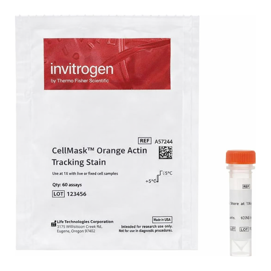 Thermo Fisher Scientific CellMask Orange Actin Tracking Stain, 1 x 60 Assays