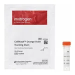 Thermo Fisher Scientific CellMask Orange Actin Tracking Stain, 1 x 60 Assays