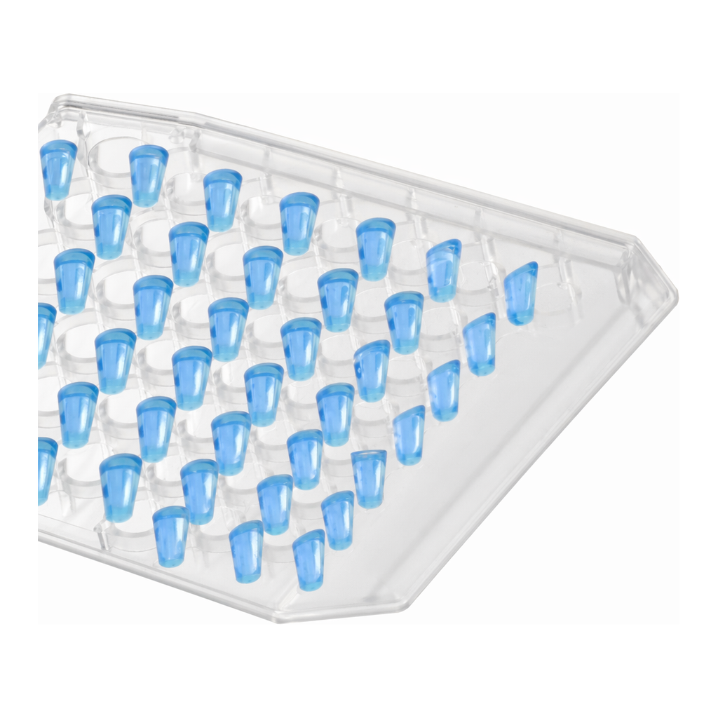Thermo Fisher Scientific ABsolute Blue QPCR Mix, SYBR Green, with separate ROX vial, 1,600 reactions
